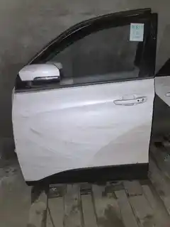 SWM X7 · Cửa trước trái